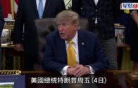 第五屆三藩市華埠車展強勢回歸！百萬超跑、2026頂級Lamborghini與古董名車重磅亮相｜星島會客室