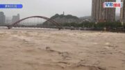 「中國白茶第一鎮」｜ 福鼎點頭鎮遭暴雨重創損失近¥2億 茶商百萬庫存一夜泡湯