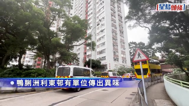 鴨脷洲利東邨單位傳異味 揭兩男倒斃屋內