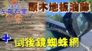 【左鄰右里】原木地板吸油跡洗唔甩？汽車倒後鏡成日結蜘蛛網？生活疑難一網打盡！｜Miu Miu x 金寶 x 晴朗