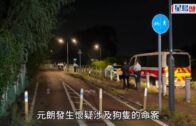元朗狗咬死人｜警偕漁護持盾牌麻醉槍再出動 擴大搜捕兩公里巡貨倉防「凶犬」