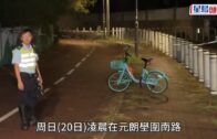 元朗女被狗襲擊亡|壆圍南路流浪狗橫行 街坊稱曾發生追咬途人事件