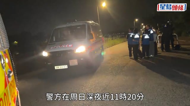 元朗懷疑狗殺人｜警方偕漁護署深夜出動無人機 捕獲3唐狗 如有晶片追尋主人