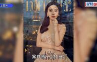 蔡天鳳案今開庭處理審前事宜 近百名公眾人士到庭旁聽