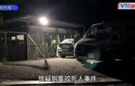 元朗懷疑狗殺人︱環境局：將檢視流浪狗管理進一步減低風險 符合條件會安排領養程序