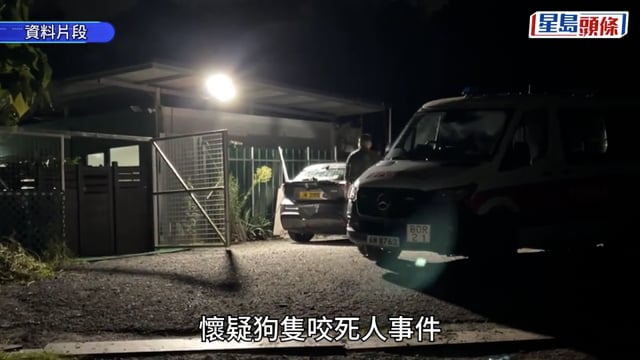 元朗懷疑狗殺人︱環境局：將檢視流浪狗管理進一步減低風險 符合條件會安排領養程序