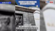 毛澤東曾孫訪朝鮮 祭拜異國捐軀伯祖父毛岸英