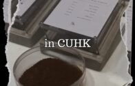 太子集團︱容納2萬人柬埔寨電詐園內部曝光 牆上寫中文「請不要假裝很努力」︱多圖