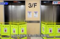 元朗狗咬死人｜警方漁護署聯合狗隻捕捉行動 再捕獲兩隻無人看管唐狗