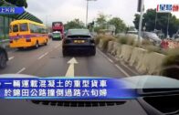 元朗狗咬死人｜警方漁護署聯合狗隻捕捉行動 再捕獲兩隻無人看管唐狗