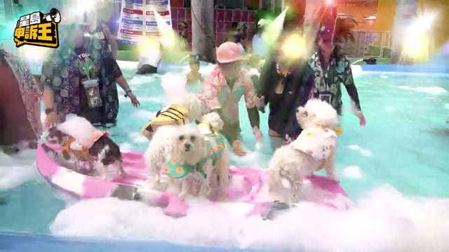 星島申訴王 | 遛狗遭歧視 狗主感壓力 毛孩嘉年華 宣揚人狗共融