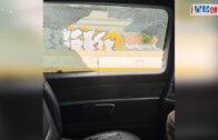 惠英紅巴黎遇劫 微博貼相：車被人砸了窗戶，包被搶