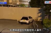 瑪麗醫院壞�︱機電署揭工程師提交虛假文件罪成 判160小時社服令