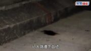 珍惜生命｜土瓜灣69歲翁行人天橋上吊 繩索斷裂路落行人路送院不治