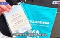 擔心露宿老婦「阿嬌」逗留居所附近影響衛生 男侍應潑水拖行欲趕走 判感化1年