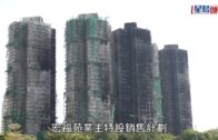 元朗狗咬死人｜警方漁護署聯合狗隻捕捉行動 再捕獲兩隻無人看管唐狗