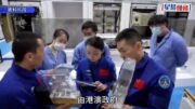 天宮課堂｜港澳專場9.9早上舉行 港產太空人黎家盈與學生「天地對話」