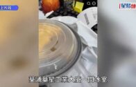 美國邁阿密機場貨機降落期間衝出跑道 撞向多輛汽車 至少5死5傷