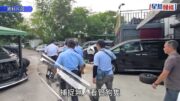 元朗狗咬死人｜代拾荒婆婆登記「大B」狗牌「毛守」Kent寧「上身」免狗隻喪命 倡檢討過時條例停「便利性撲殺」