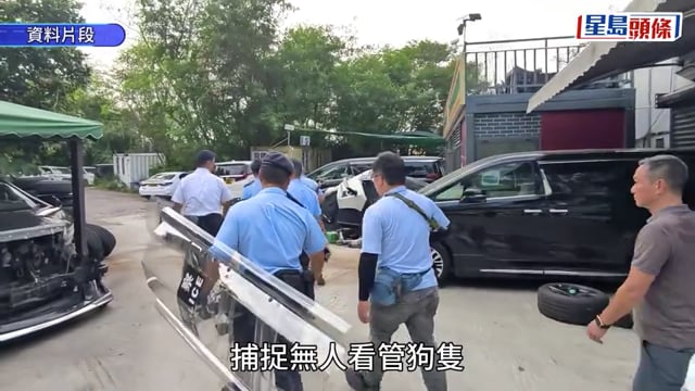 元朗狗咬死人｜代拾荒婆婆登記「大B」狗牌「毛守」Kent寧「上身」免狗隻喪命 倡檢討過時條例停「便利性撲殺」