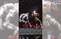 元朗狗咬死人｜警方漁護署聯合狗隻捕捉行動 再捕獲兩隻無人看管唐狗