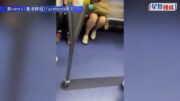 港鐵MMA｜兩中年漢車廂爆衝突 灰衫男壓Cap帽男再箍頸 乘客合力勸架