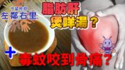 【左鄰右里】脂肪肝中藥食療方 x 防範 AI 詐騙電話 x 被昆蟲或毒蚊咬到骨痛點辦？