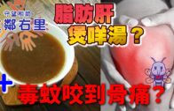高市早苗︱新內閣支持率跌至51% 上周赴美「對空氣揮手」照惹議