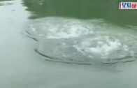 西湖仿生機械青魚｜國慶上崗可潛水10米 助力失物搜尋與水域巡護