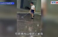 杜拜飛以國客機副機師刺傷機長圖墜機 乘客合力制服兇徒避巨災