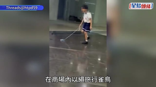 屯門男童繩綁雀鳥「吊吊揈」 放地面拖行 警列殘酷對待動物跟進
