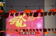 大連蓮花山｜梅花鹿發情期頻襲遊客 女子兩米外拍照遭頂飛｜有片