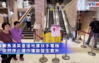 蔡天鳳碎屍案｜譚方駿指鄺母似嫌棄發燒孫女 令蔡天鳳「啲火即刻嚟」