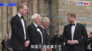 英國王室 | 傳有望與哈里破冰 威廉開條件：梅根不得再提凱特及孩子
