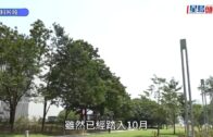 $500買防靜電神梳如交智商稅？皮膚科醫生、髮型師揭秘：效果得兩小時！