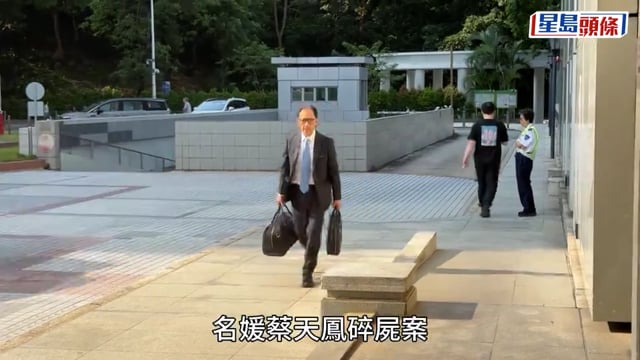 蔡天鳳碎屍案｜雙腿連盤骨被放在雪櫃內 政府化驗師形容「骨上面有啲肉」
