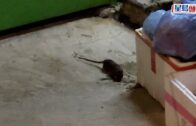 姜濤訴說童年美味回憶 與爸爸一個杯麵兩份分｜《起筷》- 一味情深