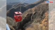 黑狗淡定獨自搭纜車上山 石家莊景區：識路偷偷上車｜有片