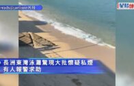 有片｜沙田男途人指控私家車違規 拍攝時惹司機暴起 兩人互毆齊被捕