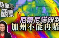 宏福苑報告︱特首率官員鞠躬道歉 何永賢辭任政治問責 提圍標刑事化、取代ICU等多項改革