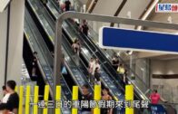 $500買防靜電神梳如交智商稅？皮膚科醫生、髮型師揭秘：效果得兩小時！