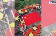 蔡天鳳碎屍案｜法醫確認兩煲「青紅蘿蔔湯」內有蔡天鳳頭部、5塊肉及3束頭髮