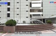 蔡天鳳碎屍案｜法醫確認兩煲「青紅蘿蔔湯」內有蔡天鳳頭部、5塊肉及3束頭髮