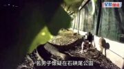 涉向流浪動物飼料投毒 34歲男被控企圖虐畜等3罪提堂