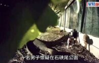 有片｜沙田男途人指控私家車違規 拍攝時惹司機暴起 兩人互毆齊被捕