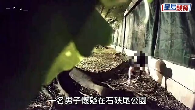 涉向流浪動物飼料投毒 34歲男被控企圖虐畜等3罪提堂