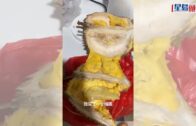 蔡天鳳碎屍案｜被指欠賭債致車輛遭淋紅油 蔡母：畜生啊咁抹黑我