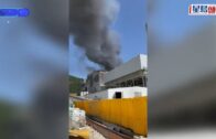 有片｜沙田男途人指控私家車違規 拍攝時惹司機暴起 兩人互毆齊被捕