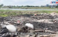 $500買防靜電神梳如交智商稅？皮膚科醫生、髮型師揭秘：效果得兩小時！