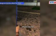 蔡天鳳碎屍案｜被指欠賭債致車輛遭淋紅油 蔡母：畜生啊咁抹黑我